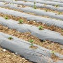 평리농장 이미지