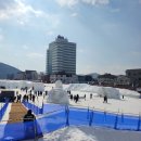 횡계초등학교 | 2026년 하얀 눈의 세상 대관령 눈꽃축제 후기