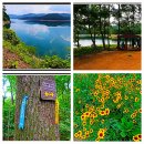 [시리즈 도보]6월2일(월) 대청호 오백리길 1회차(두메마을길) 이미지