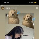 헤이마레코즈 이미지