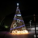 남동아시아드럭비경기장 | 남동아시아드 럭비경기장ㅣ 대형 크리스마스 트리 설치
