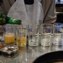 나무타는고양이 구경하는강아지 | 2025년 9월일상 20250919~20251003