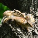 황성공원 이미지