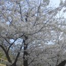 한마음  행정사 이미지