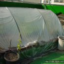 부성카센타 이미지