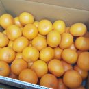 종남농장 이미지