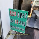 강릉육사시미 | 꼬막비빔밥 맛집 <엄지네 포장마차> 후기 | 꼬막비빔밥·육사시미 못먹음 강릉 현지 맛집 + 내돈내산...