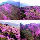 개화2리마을회관 이미지