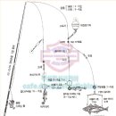 &갈치낚시채비법과 낚시비법& 이미지