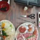 대마도 패키지 이미지