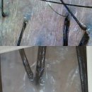 하이스칼프 | [압구정두피관리]탑스칼프 논현점 20대 두피관리는 복합성두피관리