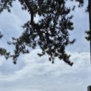 하이네펜션 이미지