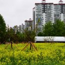 장자호수공원 이미지