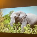 씨지테크 | 가정용 빔프로젝터 스크린 설치 필수일까?