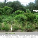 화동부동산중개사무소 이미지