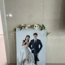 자연채광 내가 찾던 스튜디오 블랑블리 후기