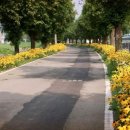 한배미농장 이미지