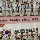용인대태비원도태권도 네이버블로그