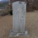 강지선생묘 Daum카페