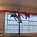 별 | 폴웨어 정리 기념 폴댄스 의상 브랜드별 간단 후기