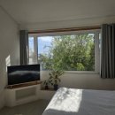 올리브낭 이미지