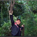 느티나무(주) 이미지