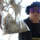 뉴해모수 이미지