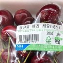 (주)맥스리무진 | 250927 인천문학경기장 뮤즈 콘서트 후기 (feat. 플로어 스탠딩 B구역 시야, 카카오셔틀)