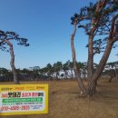 신라밧데리