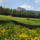 한우리영농조합법인 이미지