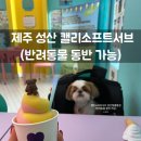 캘리소프트서브성산일출봉점