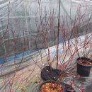 한나농장 이미지