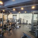 고 베어 짐 이미지