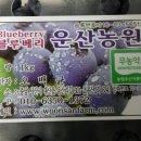 운산농원 이미지