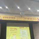 도그레잇 네이버블로그