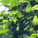 큰산농장 이미지