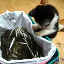 월산낚시터(월산저수지) 이미지