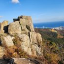 황령산유원지 생태숲 이미지