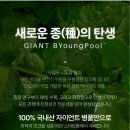 코리아 오일뱅크 | 인셀덤 투페이스 오일 미스트 리뉴얼 제품 사용후기