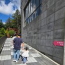 더모아솔라 | 포천 아이와 가볼만한 곳 물그네와 히든브릿지가 있는 어메이징파크 과학관 (주차, 요금, 카페 후기)