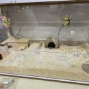 특별한 동물가게 광주점 이미지