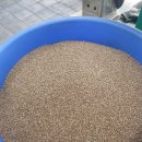 대흥방앗간 이미지