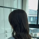 도매시장로3 네이버블로그
