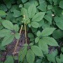 유정농장2 이미지