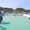 오양 태양광발전소 이미지