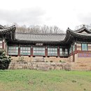 남양주코끼리