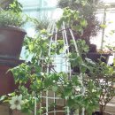 하계역 2번출구 이미지