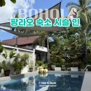 모닝콜세탁 | 보홀 팡라오 숙소 추천, 시슬 인 보홀 가성비 후기