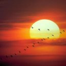 남산우리약국 이미지