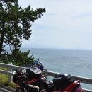 향일암로 이미지